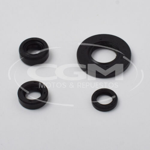 KIT RETENEDORES MOTOR – RTR 180/200/160 4V TVS