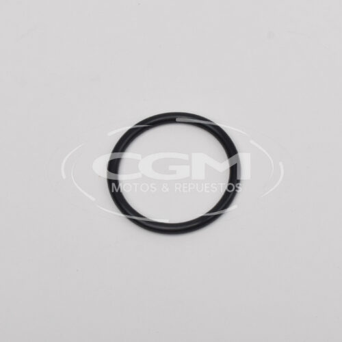 ORING TAPA VALVULA – RTR180/160/PHO/WEGO/HLX/SPORT TVS